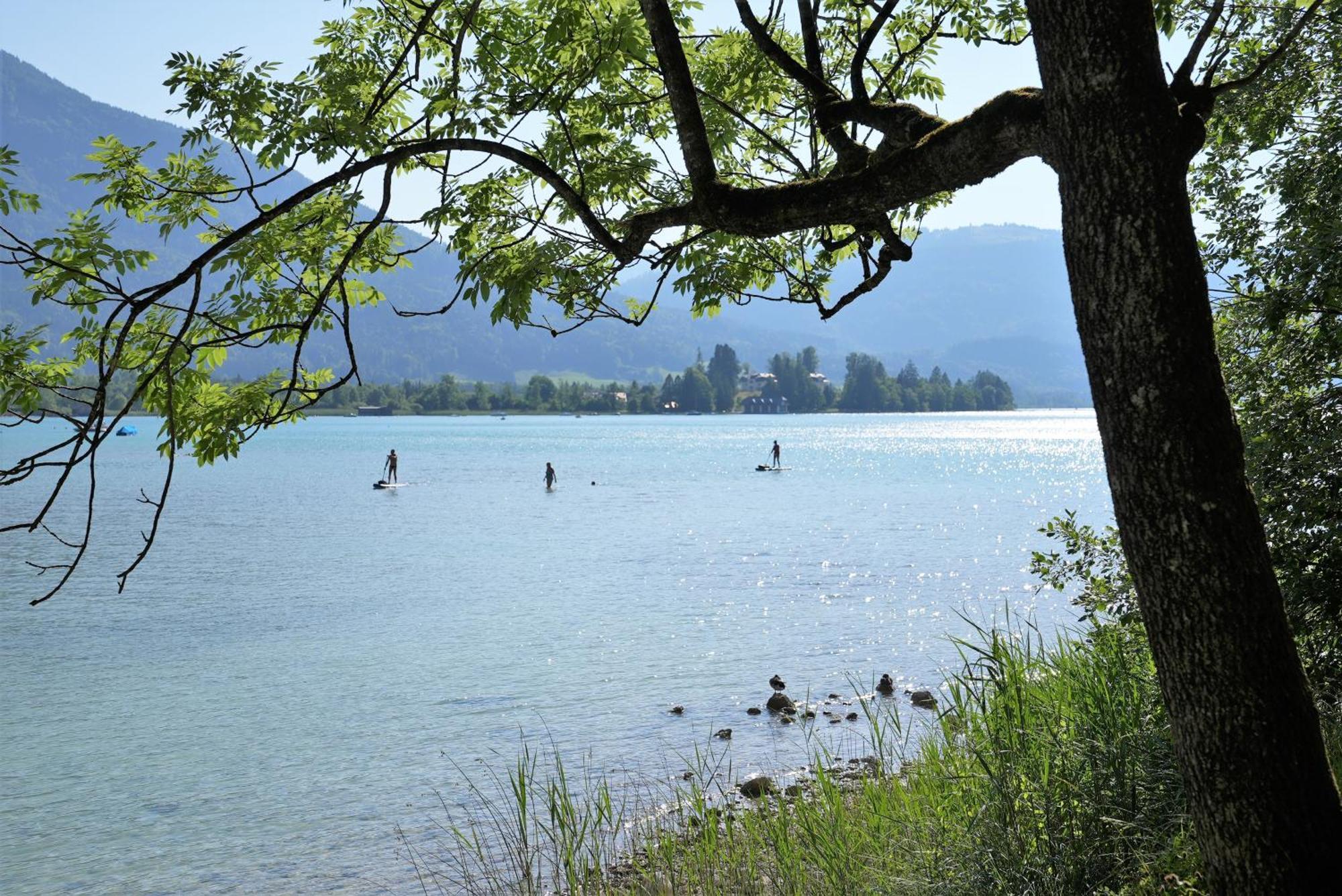 Bergblick 411 Am Wolfgangsee Штробль Номер фото